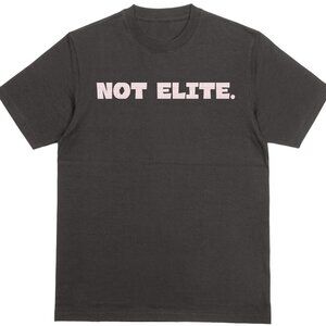 NOT ELITE Harper T-shirt | philly pinstripes